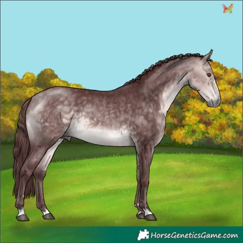 Horse Color:Platinum Chocolate Buckskin 