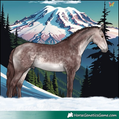 Horse Color:Platinum Chocolate Buckskin 