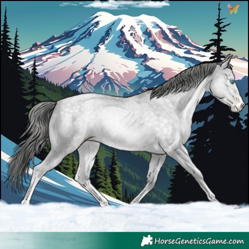 Horse Color:Platinum Buckskin Pearl Dun 