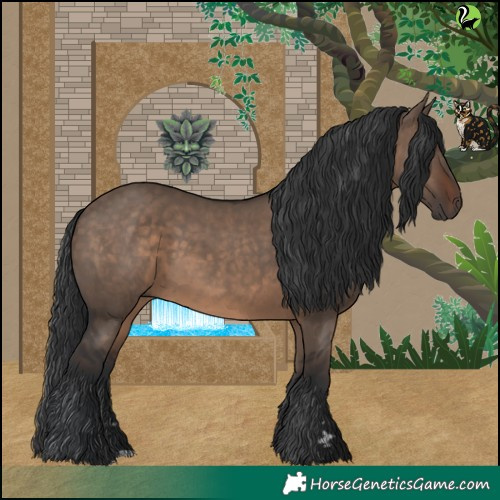 Horse Color:Brown Dun Rabicano 
