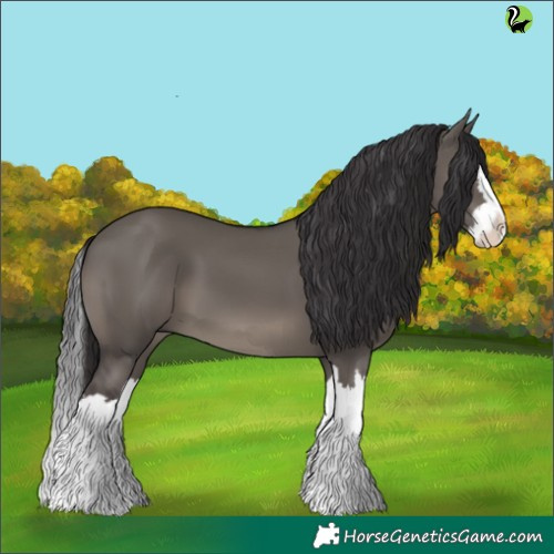 Horse Color:Smoky Grullo Splash 