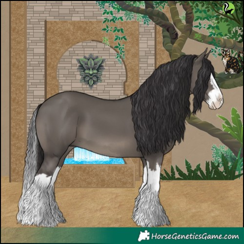 Horse Color:Smoky Grullo Splash 