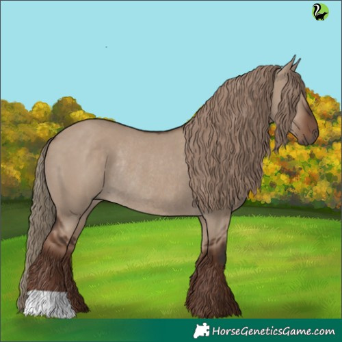 Horse Color:Liver Red Dun Rabicano 