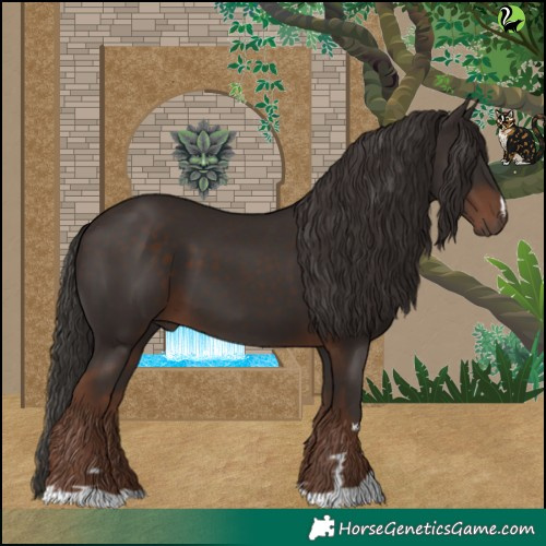 Horse Color:Liver Chestnut 