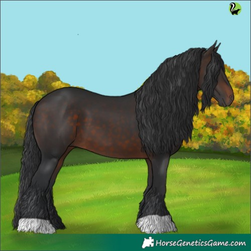 Horse Color:Brown 