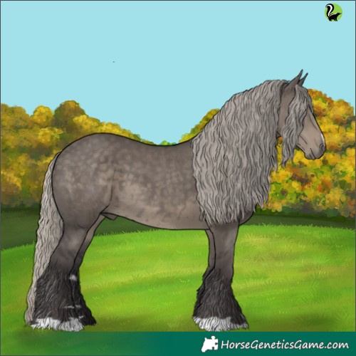 Horse Color:Silver Smoky Grullo 