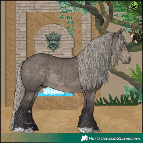Horse Color:Silver Smoky Grullo 