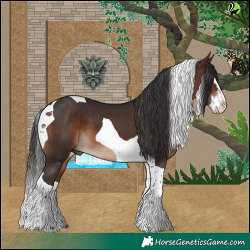 Horse Color:Brown Splash Tobiano 