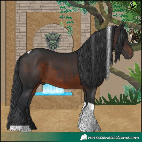 Horse Color:Brown Tobiano 