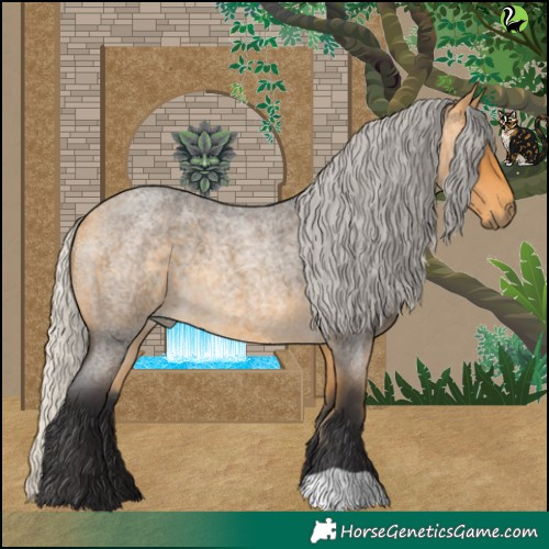 Horse Color:Silver Buckskin Roan 