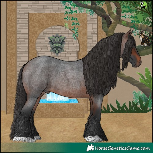 Horse Color:Brown Roan 