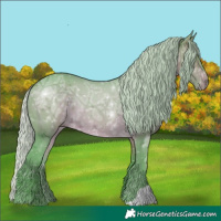 Horse Color:Watercolor Silver Brown Ice