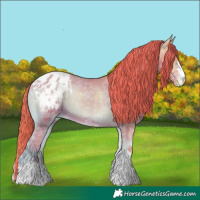 Horse Color:Watercolor Red Onyx Ice Appaloosa 