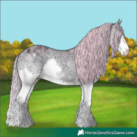 Horse Color:Watercolor Red Onyx Chinchilla Ice Splash Varnish 