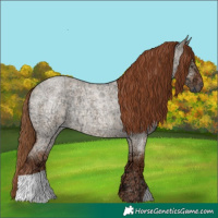 Horse Color:Red Dun Ice Roan 