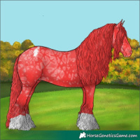 Horse Color:Watercolor Liver Chestnut Ice Varnish