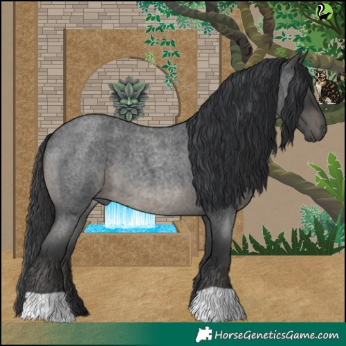 Horse Color:Blue Roan 
