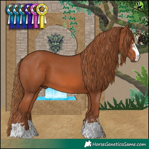 Horse Color:Chestnut 