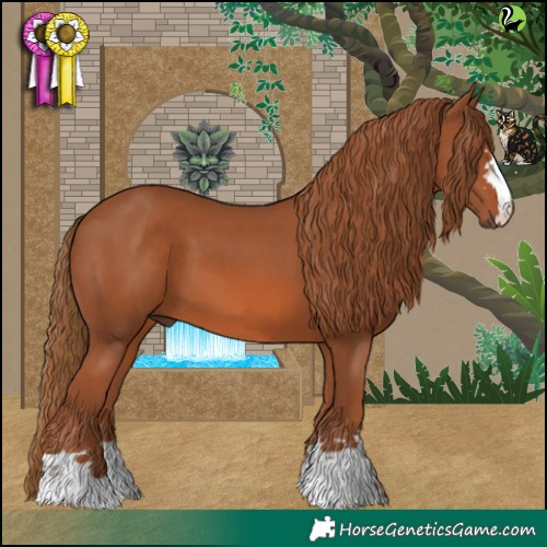 Horse Color:Chestnut 