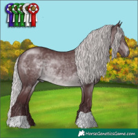 Horse Color:Chocolate Silver Brown Chinchilla