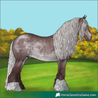 Horse Color:Chocolate Silver Brown Chinchilla 