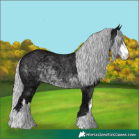 Horse Color:White Spotted Silver Smoky Black Chinchilla Ice 