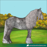 Horse Color:Chocolate Silver Sable Cream Champagne Chinchilla Ice