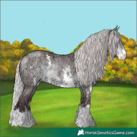 Horse Color:Chocolate Silver Buckskin Chinchilla Ice Sabino 