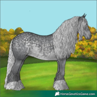 Horse Color:Silver Black Chinchilla 