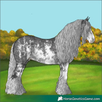 Horse Color:Silver Buckskin Chinchilla Ice Sabino 