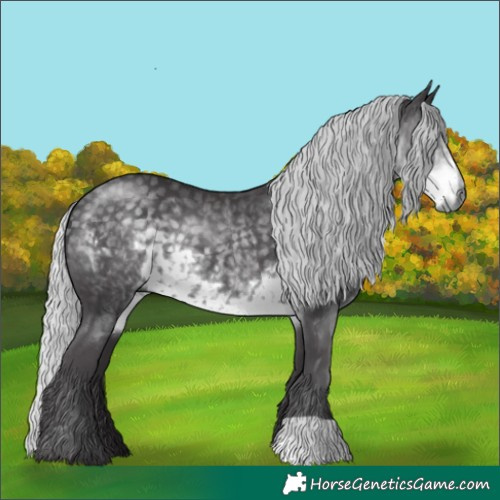 Horse Color:Silver Smoky Black Chinchilla 