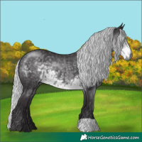Horse Color:Silver Smoky Black Chinchilla 
