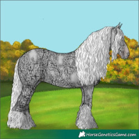 Horse Color:Chocolate Silver Classic Champagne Chinchilla Ice 