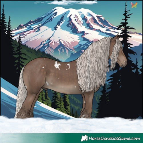 Horse Color:White Spotted Silver Black 