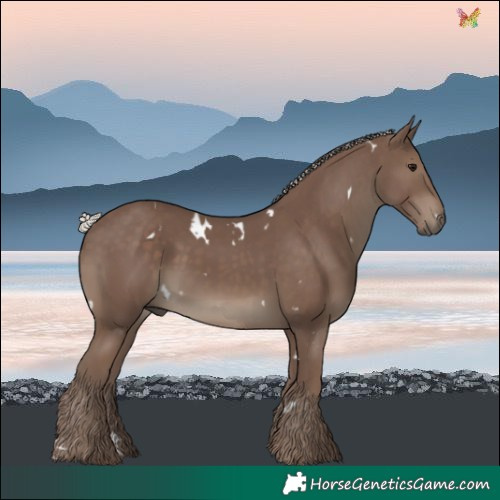 Horse Color:White Spotted Silver Black 