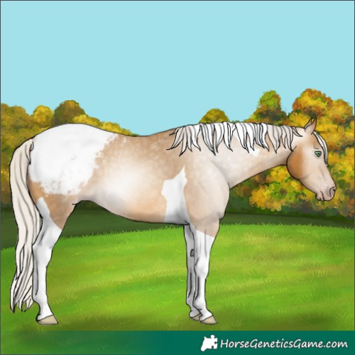 Horse Color:Gray Silver Amber Cream Champagne Tobiano Snowcap 