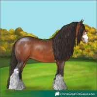 Horse Color:Brown Sabino