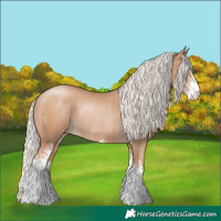 Horse Color:Silver Black Pearl Sabino Rabicano