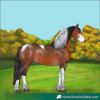 Horse Color:Brown Sabino Tobiano