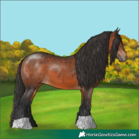 Horse Color:Brown 