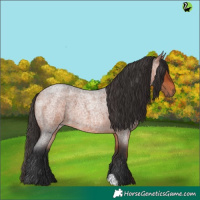 Horse Color:Bay Roan 