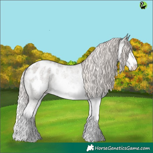 Horse Color:Silver Blue Roan Splash Appaloosa Rabicano