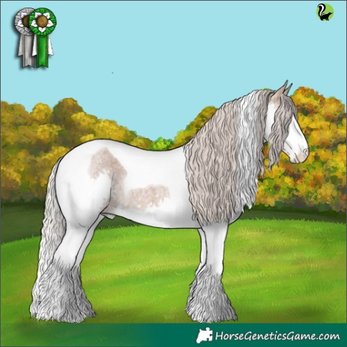 Horse Color:Silver Bay Roan Dun Splash Tobiano 