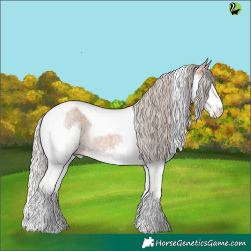 Horse Color:Silver Bay Roan Dun Splash Tobiano 