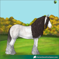 Horse Color:Bay Roan Dun Splash 