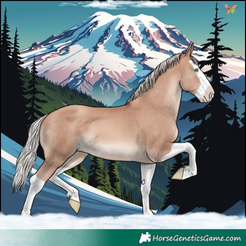 Horse Color:Silver Sable Champagne Splash 