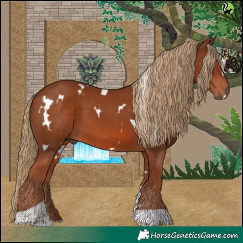 Horse Color:White Spotted Chestnut Tobiano 