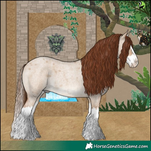 Horse Color:Red Dun Roan Splash 