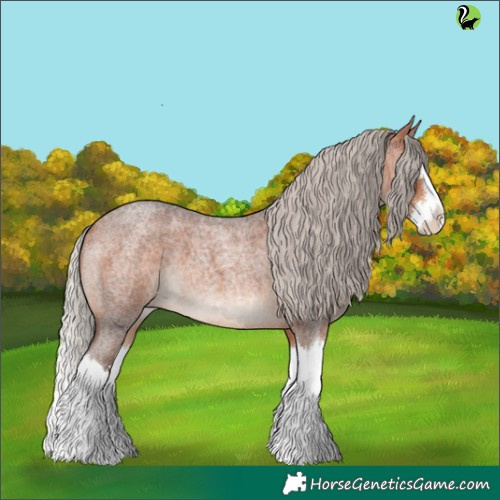 Horse Color:Silver Bay Roan Splash 