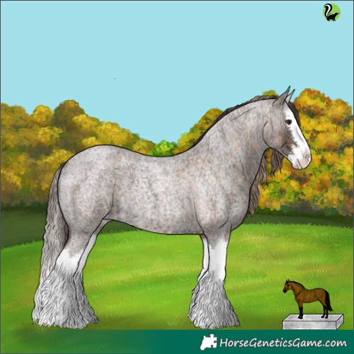 Horse Color:Chocolate Palomino Roan Splash  and Liver Red Roan Splash 